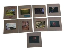 9 Vintage Film Slides Featuring A Christmas Tree, Valentine Candy, A Casket