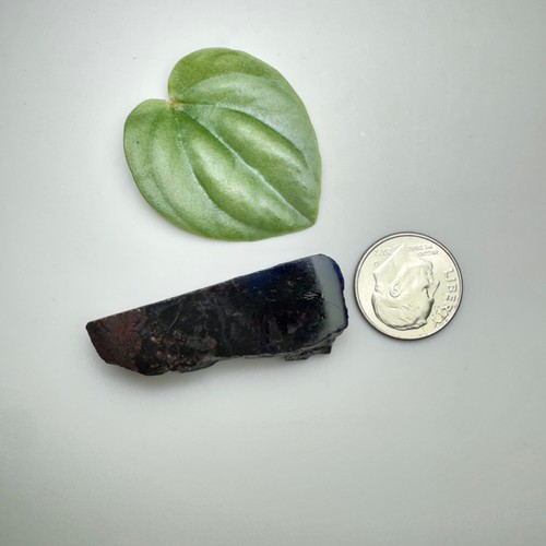 Gel SUGILITE and RICHTERITE Rough Natural Gem South Africa - Picture 14 of 15