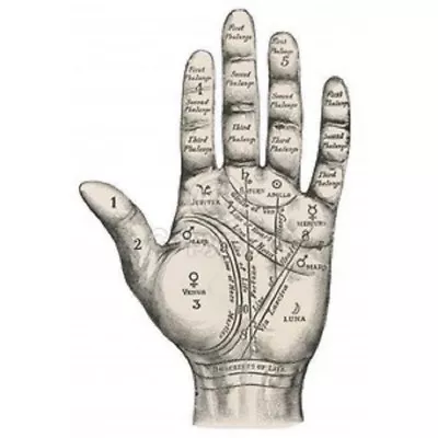 astrologer hand logo