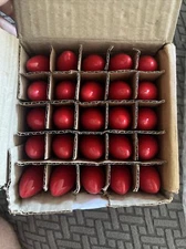 Case 25  Transparent Multi 130V 5W Bulbs c7 e12 nickel base V471753 (new) $45.00