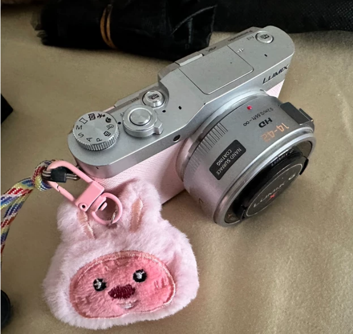 Panasonic LUMIX DC-GF9 1x Optical Zoom Video Camera Compact Panasonic LUMIX DC-GF9 1x Optical Zoom Video Camera Compact
