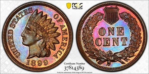 1899 P Indian Cent PCGS PR-65 BN EERC PHOTO SEAL RAINBOW TONING Rainbow Toning