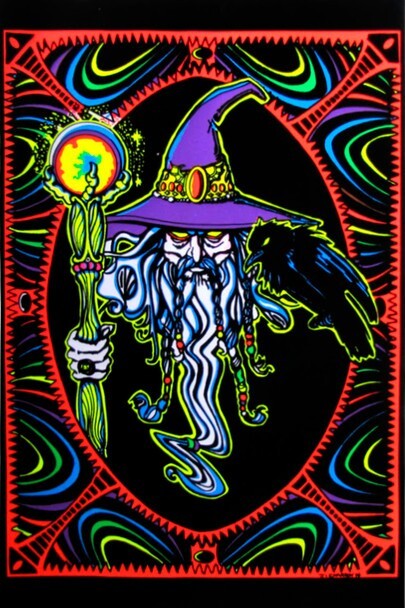 Wizard Mystical Whiz Crow Staff Glowing Orb Purple Hat Fantasy Psychedelic Tripp