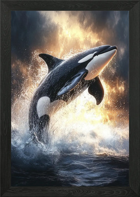 Orca Wal springt aus Wasser gerahmtes Wandbild Poster Leinwanddruck Bild