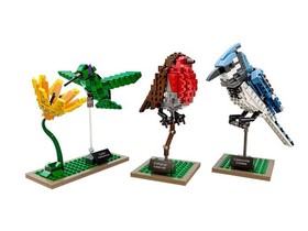 LEGO 21301 Ideas Birds Model Kit