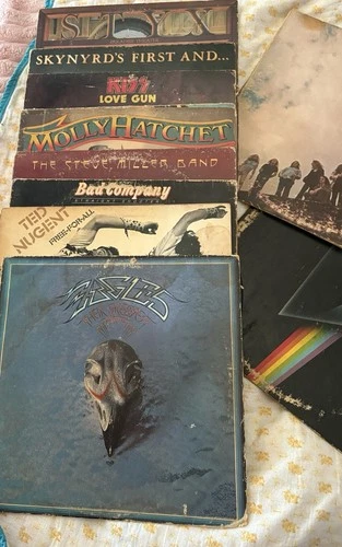 Classic Rock Vinyl LP Lot 12" 33 RPM Styx, Skynyrd, Kiss, Molly Hatchet
