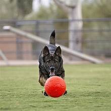 Jolly Pets Soccer Ball Orange 8 inch  Vanilla Scented Rubber Chew Toy for Dogs