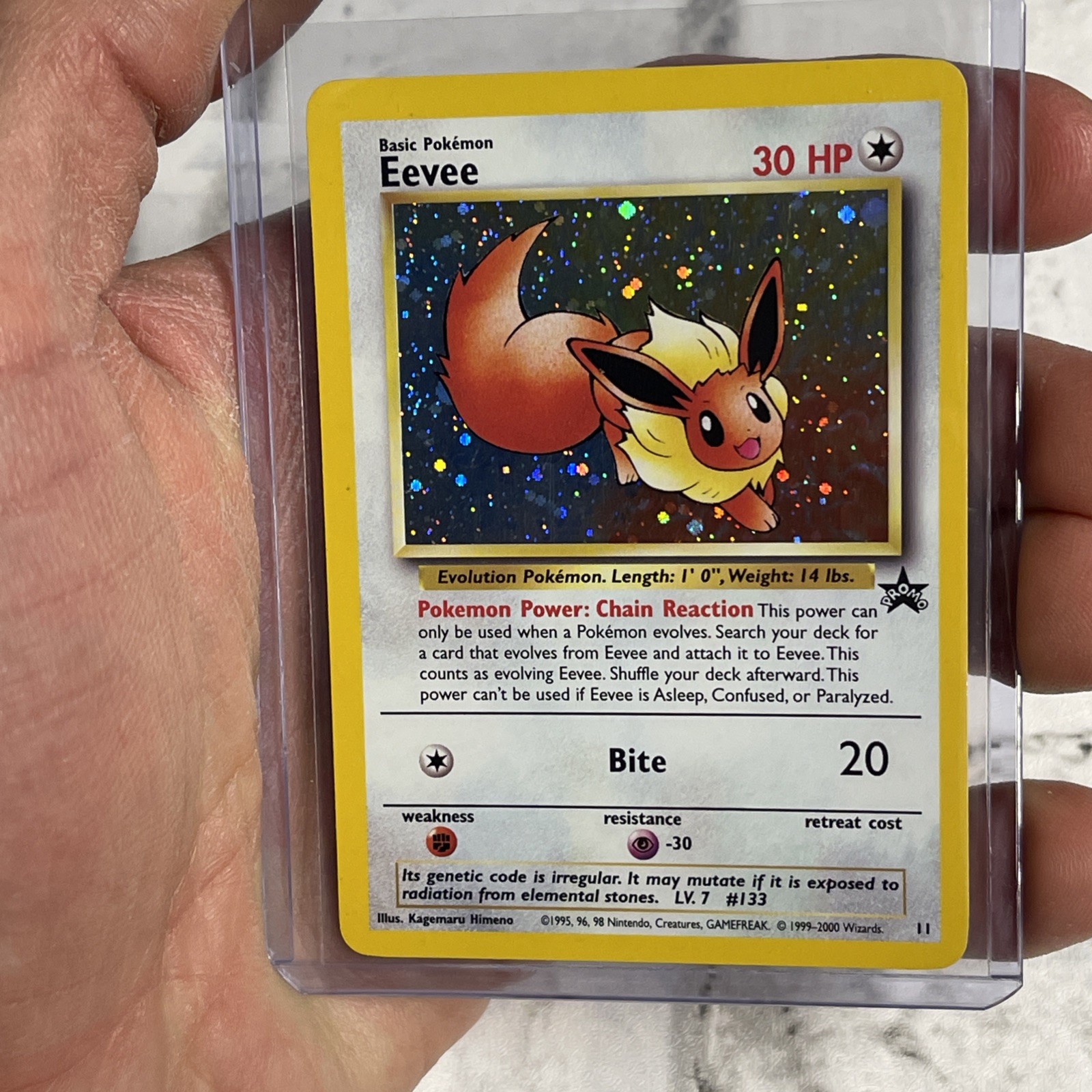 2000 Black Star Promo Pokemon League Holo Eevee #11 NM Vintage Pokémon WOTC TCG