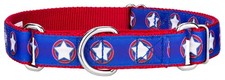 Country Brook Petz  American Star Ribbon Martingale Dog Collar Limited Edition