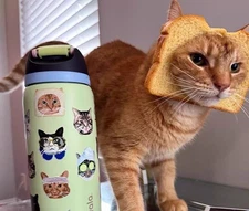  Cat Collage Owala Water Bottle 32 oz Exclusive FreeSip Insulated New Gifts