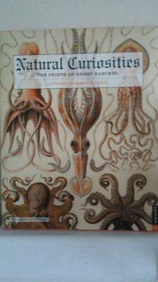 NATURAL CURIOSITIES Prints of  Ernst Haeckel 12 Poster Calenders 2015 LOC MINT!