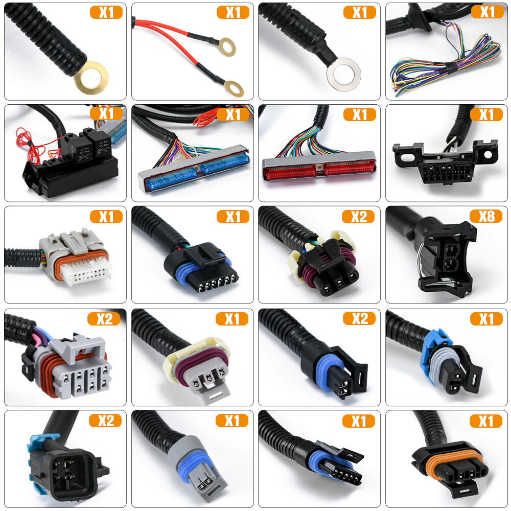 LS Swap Stand Alone Wiring Harness DBW 700R4 2004R Powerglide TH350