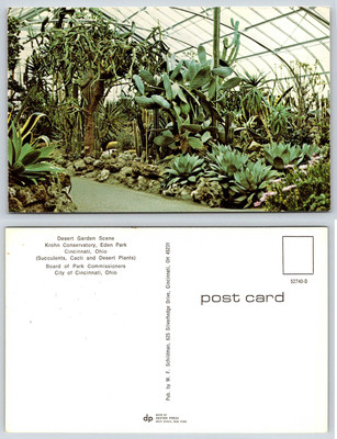 Cincinnati Ohio EDEN PARK KROHN CONSERVATORY DESERT GARDEN Postcard W623