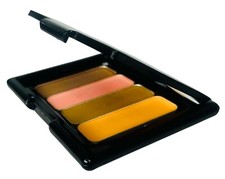 Vintage Trish McEvoy Lip Essentials Lip Gloss Palette 5