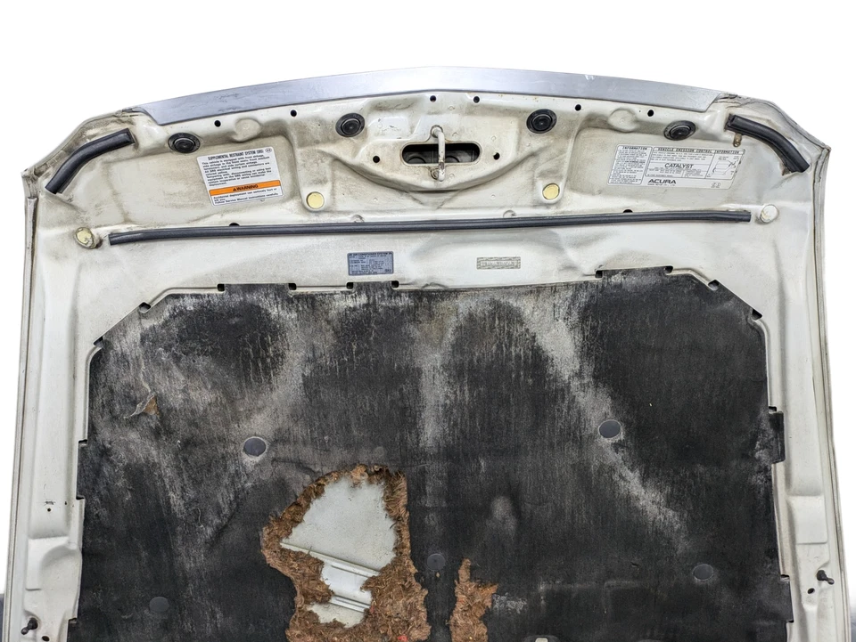 2004 - 2008 Oem Acura Tl Front Hood Shell Panel White - Image 2 of 4