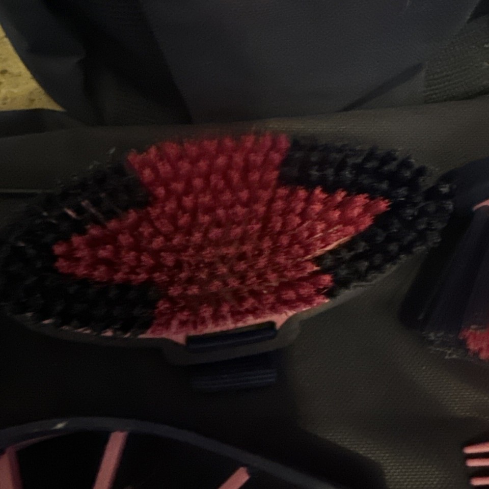 horse grooming kit eBay