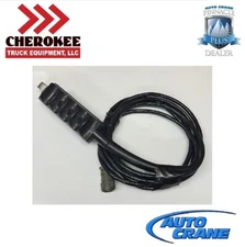 Auto Crane 680064000, Pendant Assembly 3203PR x 18' Cable