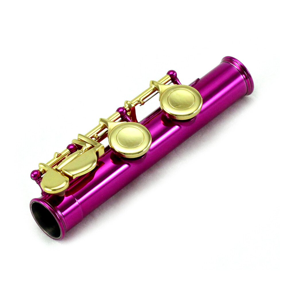 SKY C Foot Flute Pink Flute with Gold Keys. Band Approved. eBay