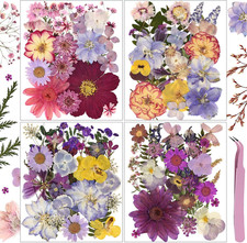 113Pcs Dried Pressed Flowers for Crafts, Natural Dry Flowers for Resin with Twee