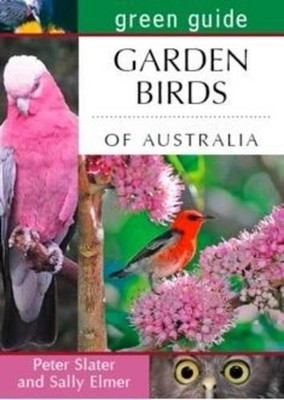 Grünführer Gartenvögel Australiens: Verhaltenseinblicke, Actionfotografie 