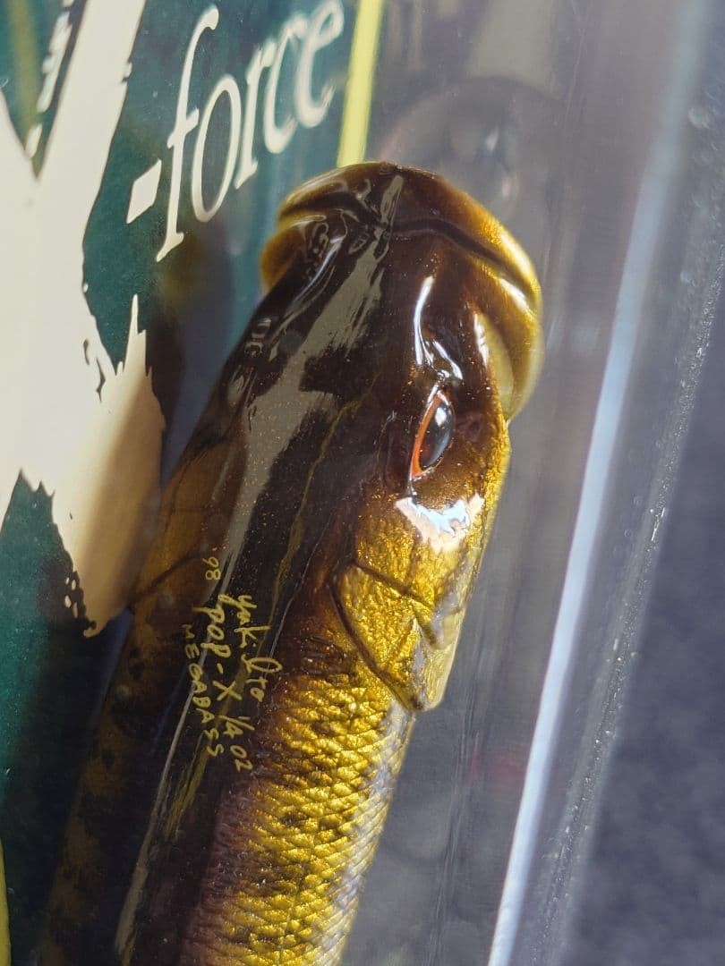 Megabass Pop X 98 SG Smallmouth Bass New Unopened Rare 1998 - Image 5