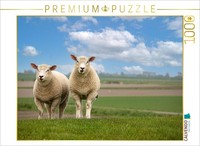 Calvendo Puzzle Auf Erkundungstour | 1000 Teile Lege-GrößE 64 × 48 Cm Foto-Puzzl