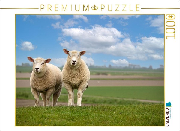 Calvendo Puzzle Auf Erkundungstour | 1000 Teile Lege-GrößE 64 × 48 Cm Foto-Puzzl-image