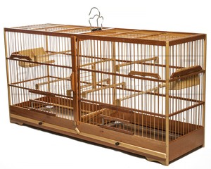 Détails Sur Cage Pour Lélevage De Petits Oiseaux De Compagnie En Bois Canaries Coleiro