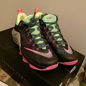 lebron james sneakers 11