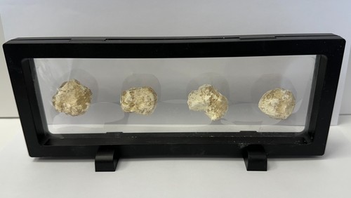 Palline di zolfo zolfo di Sodoma e Gomorra cristianesimo biblico in esposizione - Foto 18 di 21
