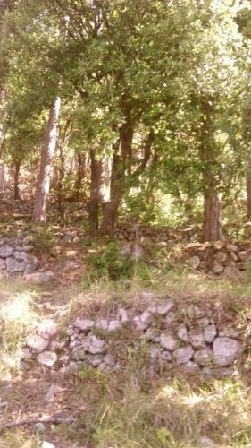 Propriétés en vente terrains