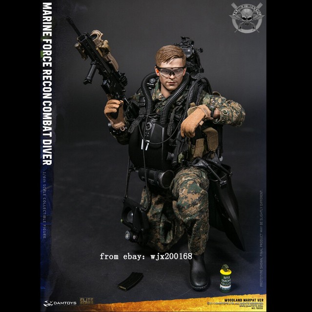 Damtoys 78055 1/6 Usmc Marine Force Recon Combat Diver Action Figure In