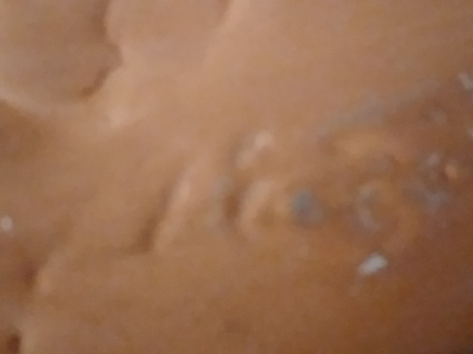 Picture 10 of 10