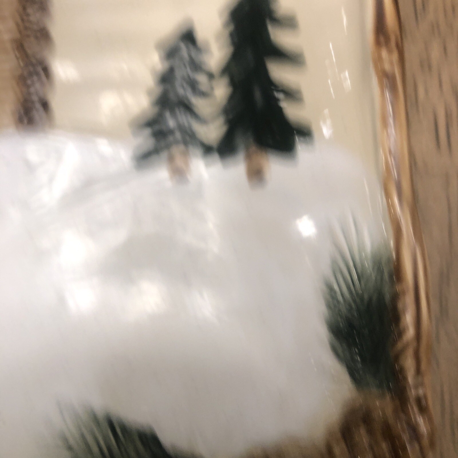 Picture 5 of 8