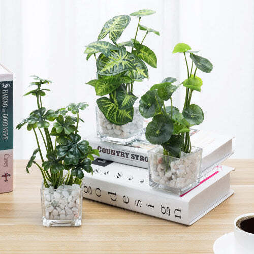 Künstliche Klee & Taro Pflanzen Glas Vase mit dekorativen weißen Steinen, 3er Set - Bild 1 von 5