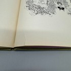 Bild 10 von 16