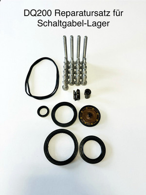 Schaltgabel Schlupfperlen Reparatursatz DSG 7-Gang Getriebe VW Audi Seat DQ200