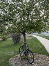 Specialized Stumpjumper Town N Country Build ...