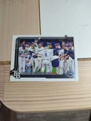 2025 Topps Series I #294 TAMPA BAY RAYS TEAM PICTURE