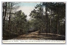 Lovers Lane Greenville and New Ipswich New Hampshire NH DB Postcard R29 Lovers Lane Greenville and New Ipswich New Hampshire NH DB Postcard R29