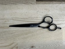 Scissors Shears Mizutani