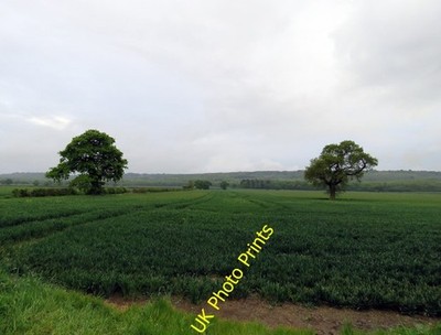 Photo 6x4 Towards Barkestone Wood Barkestone-le-Vale  c2016