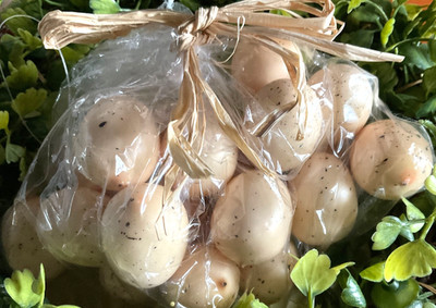 Set Of 25 Cream Yellow Speckled Bird Eggs 1  Bird Nest Eggs