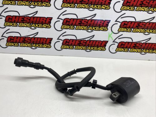 Teknix Stator Für SYM Joymax / Joyride / HD / EVO 125 – Ersatzteil Für Maxi-Scooter