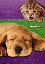Designer Greetings Kitten Saying Wake Up to Puppy Cute Dog and Cat Birthday Card