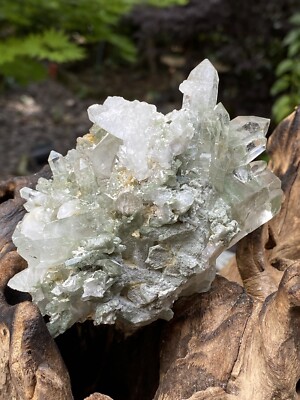 Chlorit Himalaya Green Quartz Cluster AAA+ : Transformation : Wachstum 492g 2