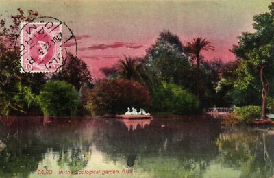 PC EGYPT, CAIRO, IN THE ZOOLOGICAL GARDEN, GIZA, Vintage Postcard (b36666)
