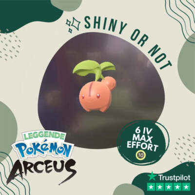 Cherubi Shiny   Legends Pokémon Arceus 6 IV Max Effort Custom OT Leggende