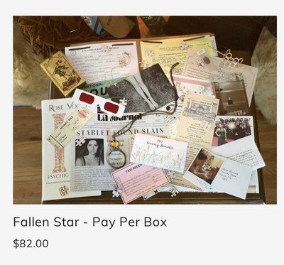 Murder & Co Murder Mystery Game The Fallen Star complete