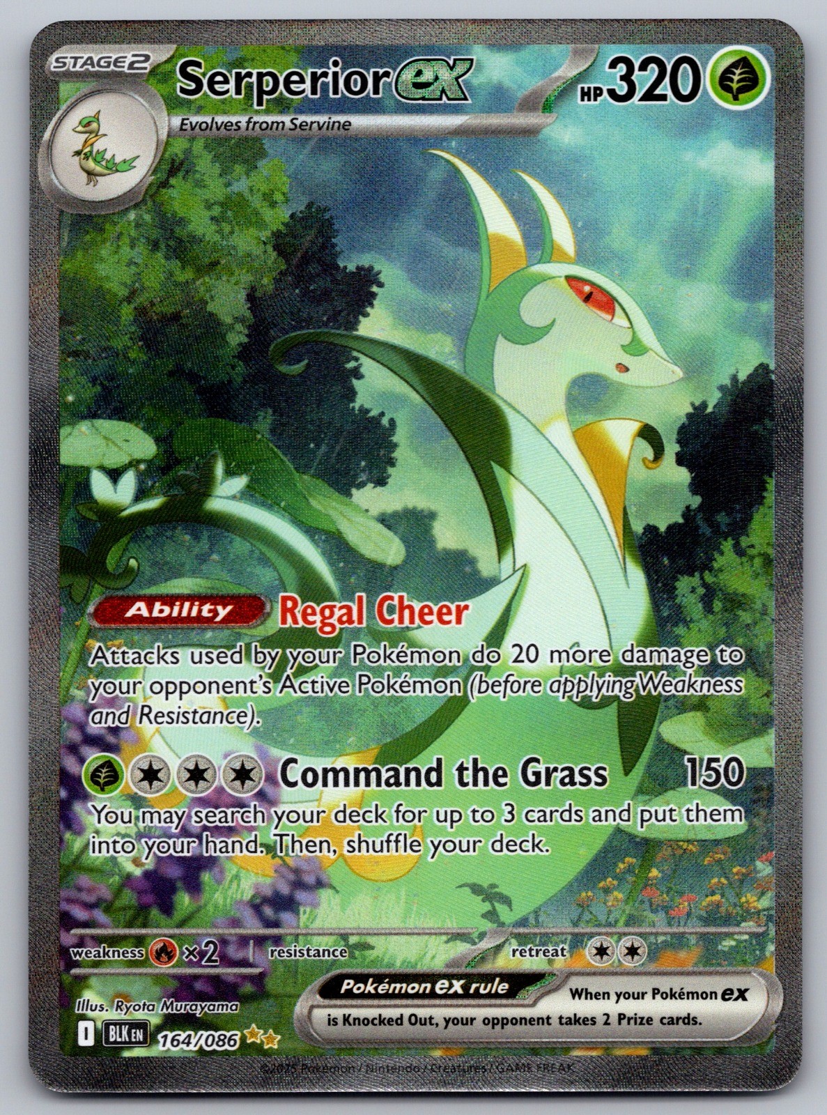 Serperior ex Holo Special Illustration Rare SV: Black Bolt 164/086 NM